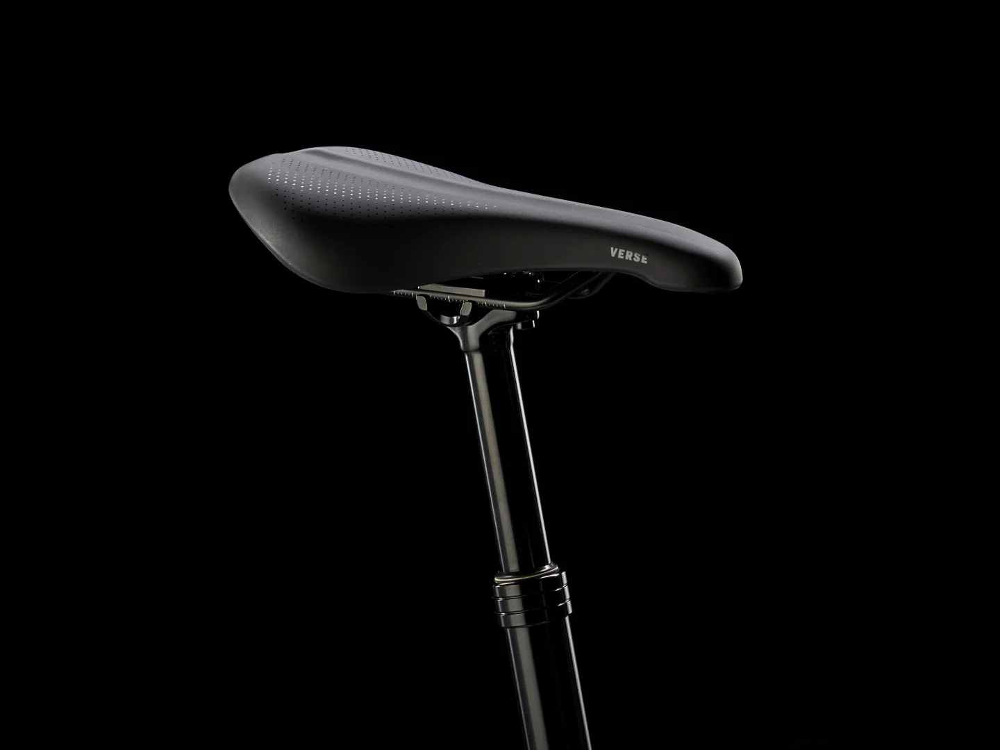 Roscoe 6 - 2025 - Image 19